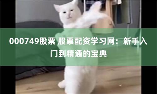 000749股票 股票配资学习网：新手入门到精通的宝典