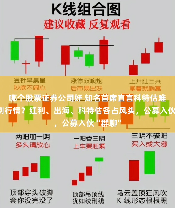 哪个股票证券公司好 知名首席直言科特估难言大级别行情？红利、出海、科特估各占风头，公募入伙“群聊”